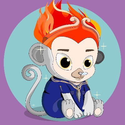 Baby Mini Monkeys